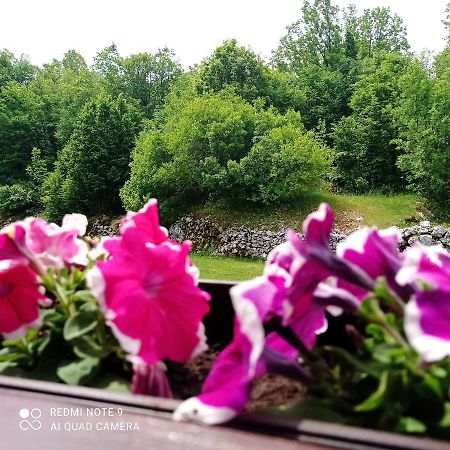 Vikendica Njegusi Villa Cetinje Luaran gambar