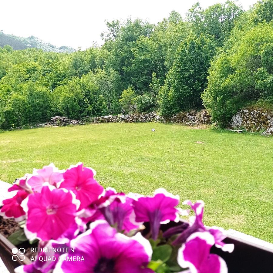 Vikendica Njegusi Villa Cetinje Luaran gambar