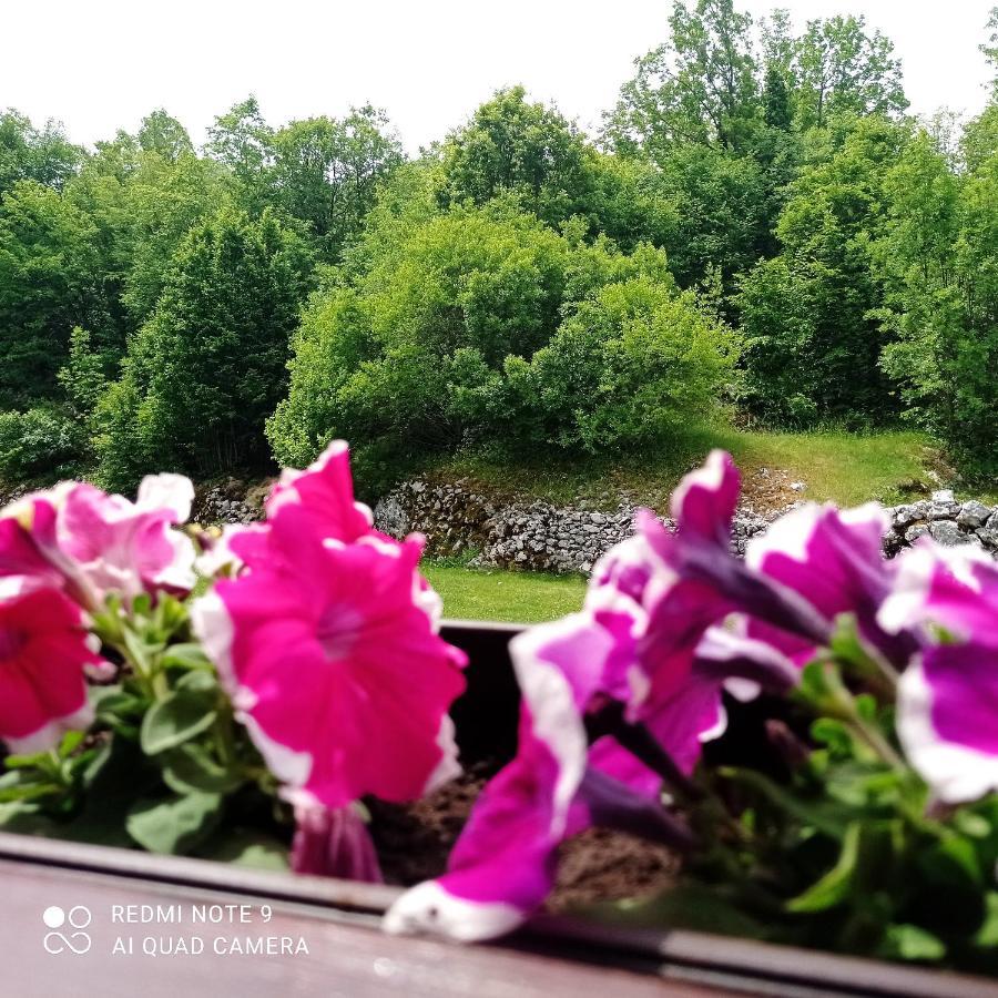 Vikendica Njegusi Villa Cetinje Luaran gambar